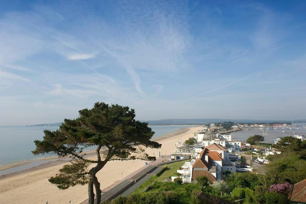 Bournecoast: Lovely Annex With Patio Nr Beach-5286 บอร์นมัธ ภายนอก รูปภาพ